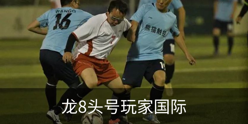 龙8头号玩家国际介绍